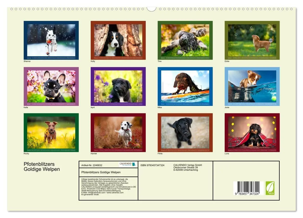 Bild: 9783457347324 | Pfotenblitzers Goldige Welpen (hochwertiger Premium Wandkalender...