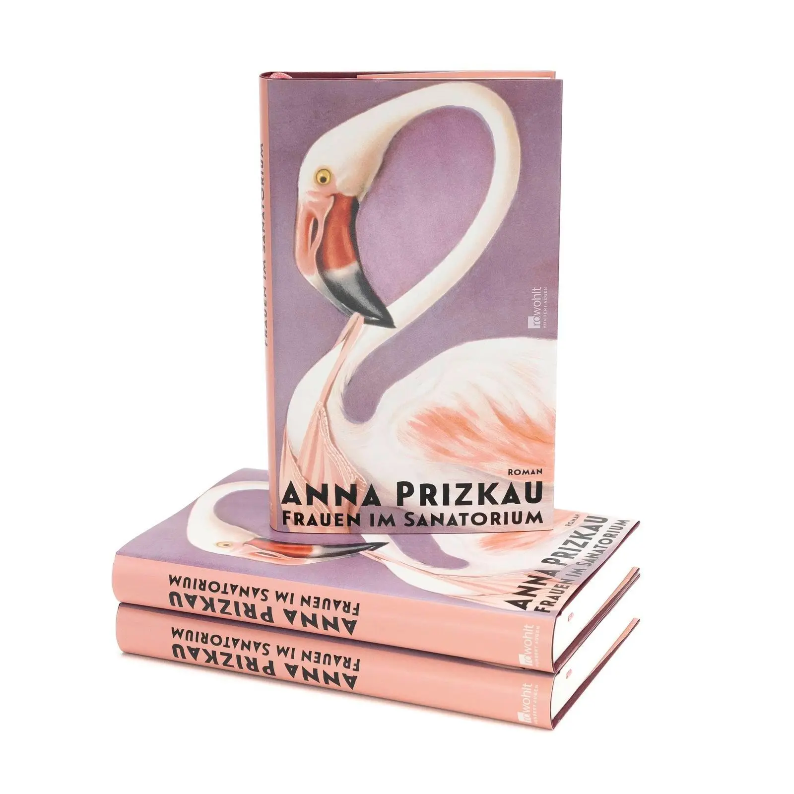 Bild: 9783498007324 | Frauen im Sanatorium | Anna Prizkau | Buch | 304 S. | Deutsch | 2025