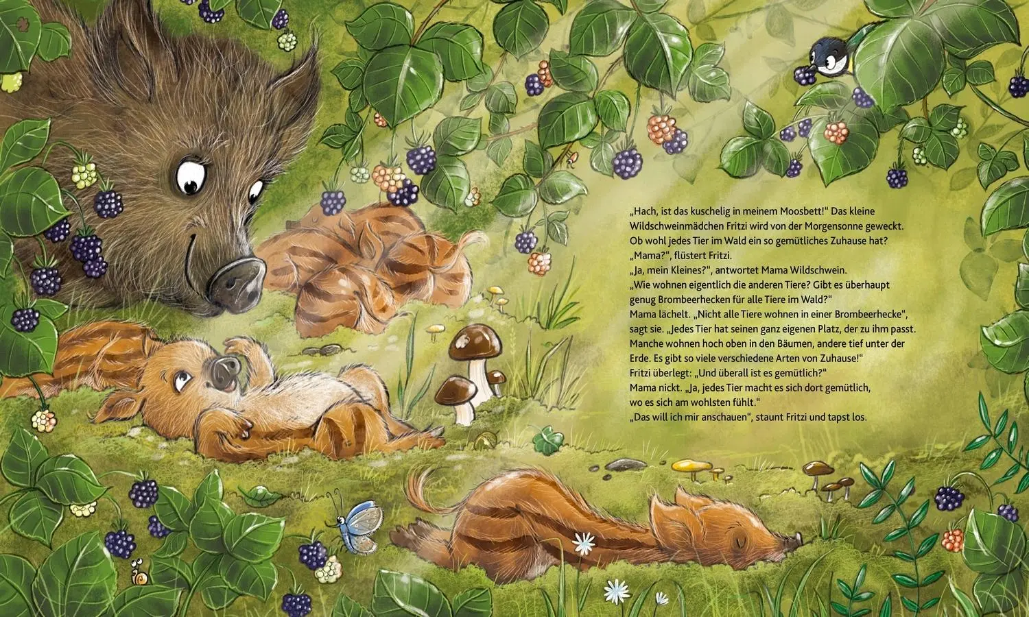 Bild: 9783751207324 | Wie wohnen die Waldtiere? | Peter Wohlleben | Buch | 16 S. | Deutsch
