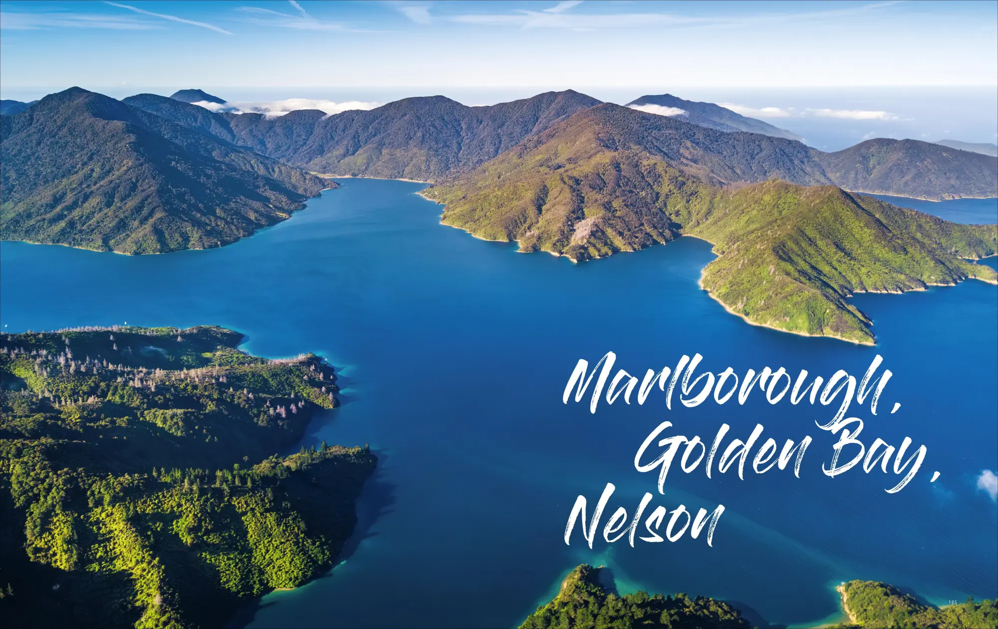 Bild: 9783866907324 | Neuseeland | Im Land der weißen Wolke | Wiebke Reißig-Dwenger | Buch
