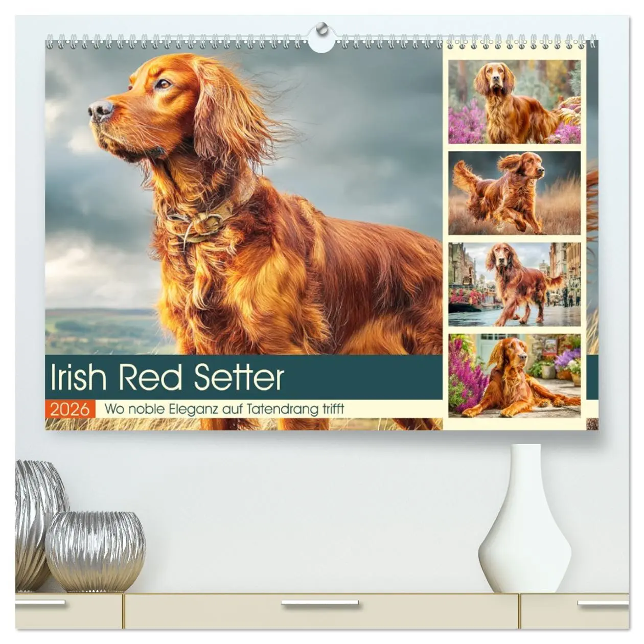 Cover: 9783457647424 | Irish Red Setter. Wo noble Eleganz auf Tatendrang trifft...