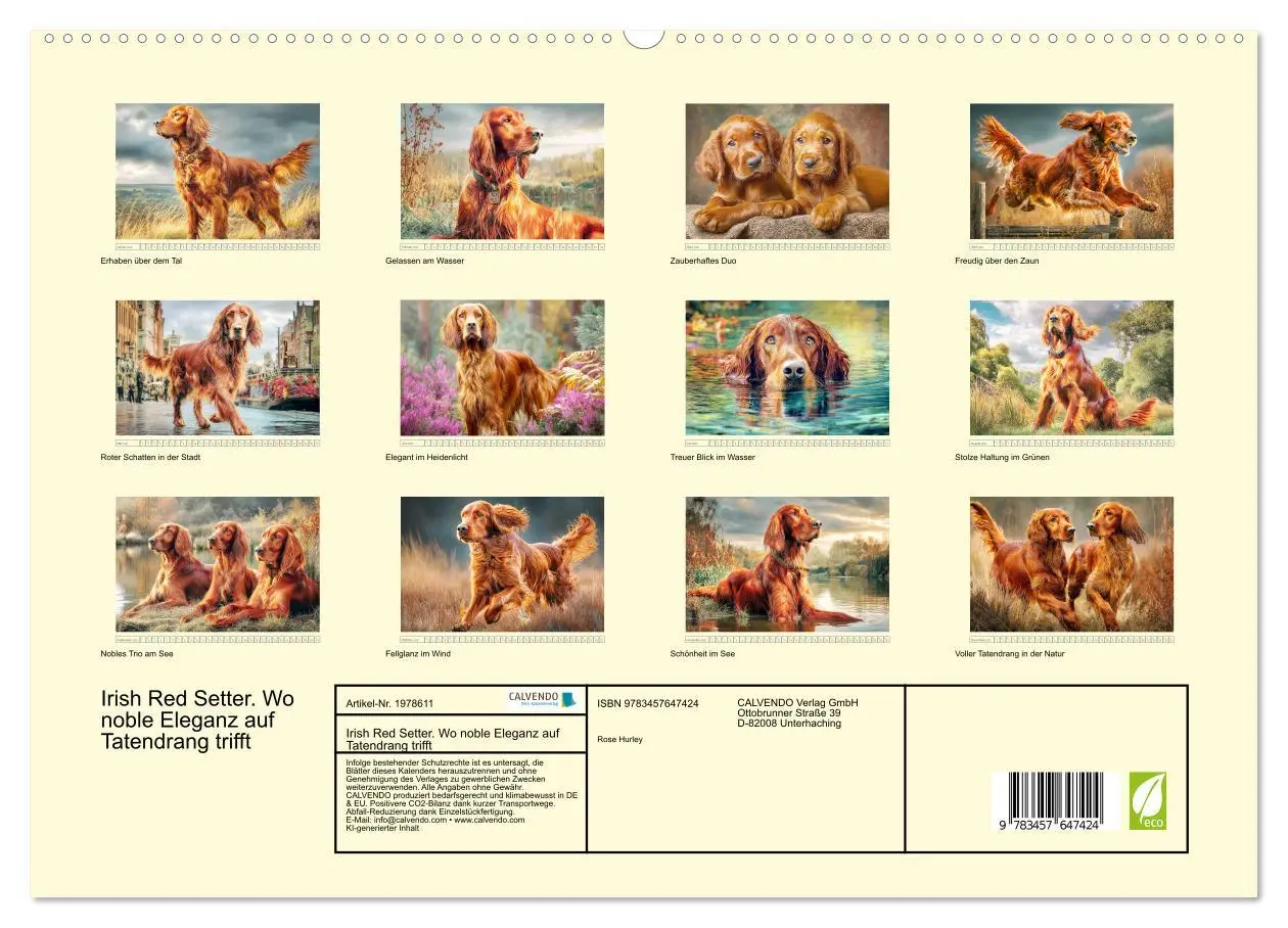 Bild: 9783457647424 | Irish Red Setter. Wo noble Eleganz auf Tatendrang trifft...