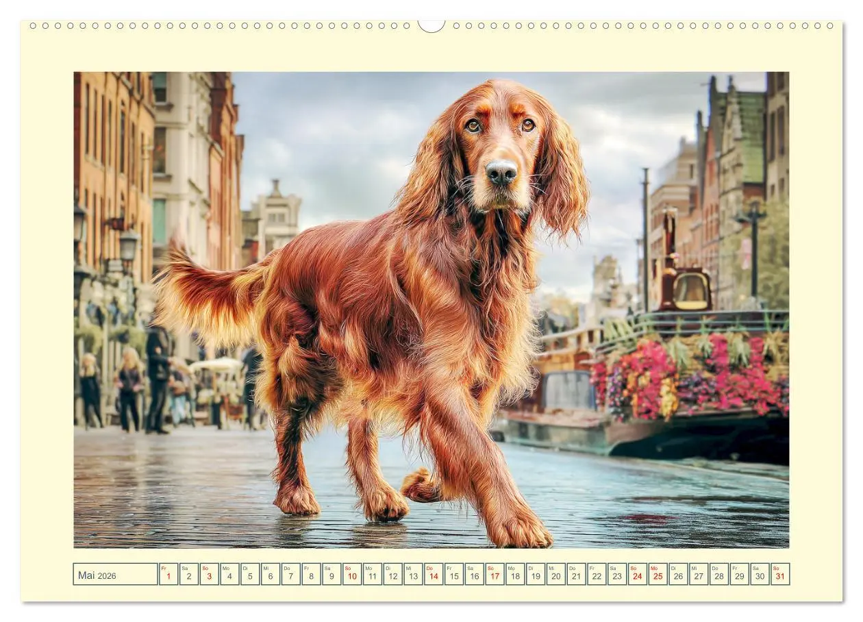 Bild: 9783457647424 | Irish Red Setter. Wo noble Eleganz auf Tatendrang trifft...
