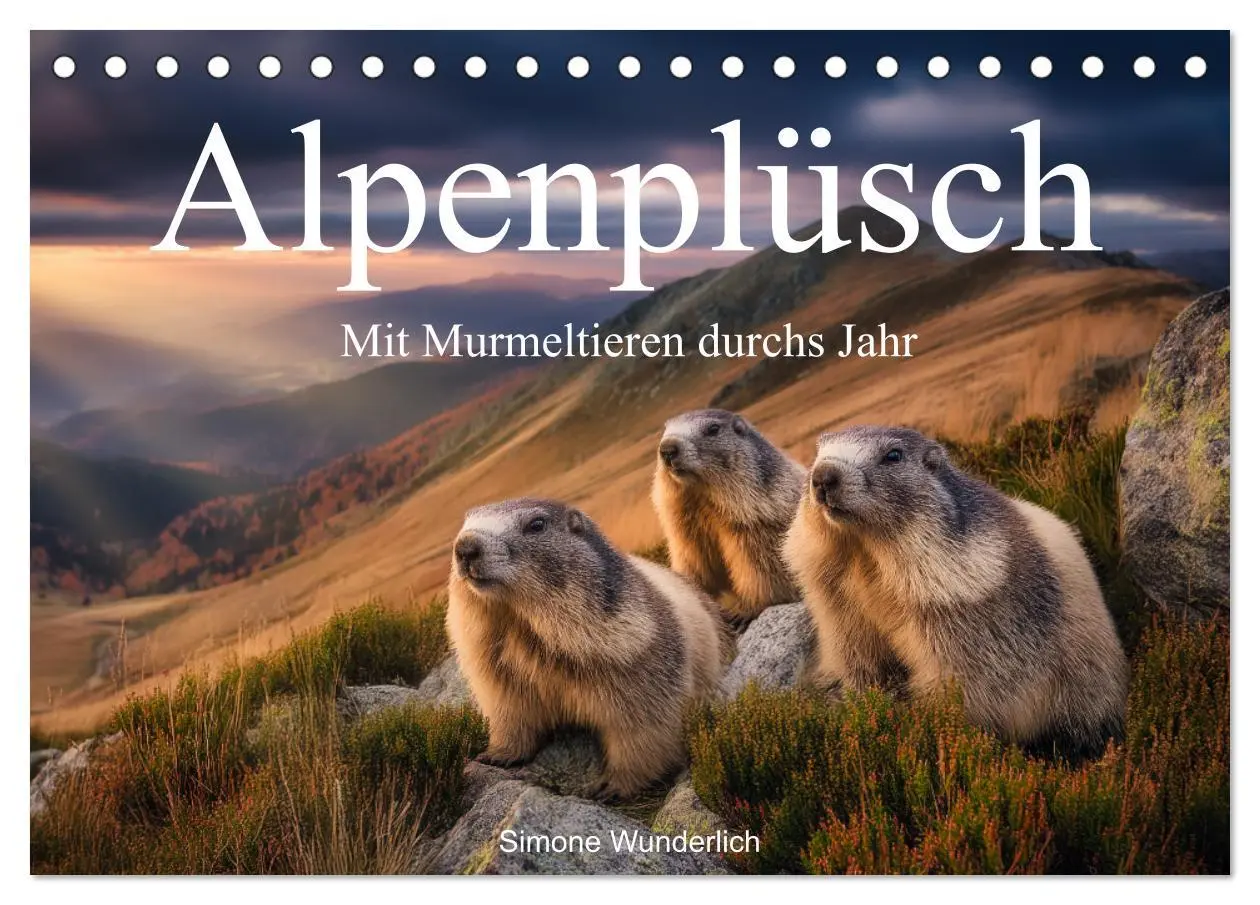 Cover: 9783516597424 | Alpenplüsch - Mit Murmeltieren durchs Jahr (Tischkalender 2026 DIN...