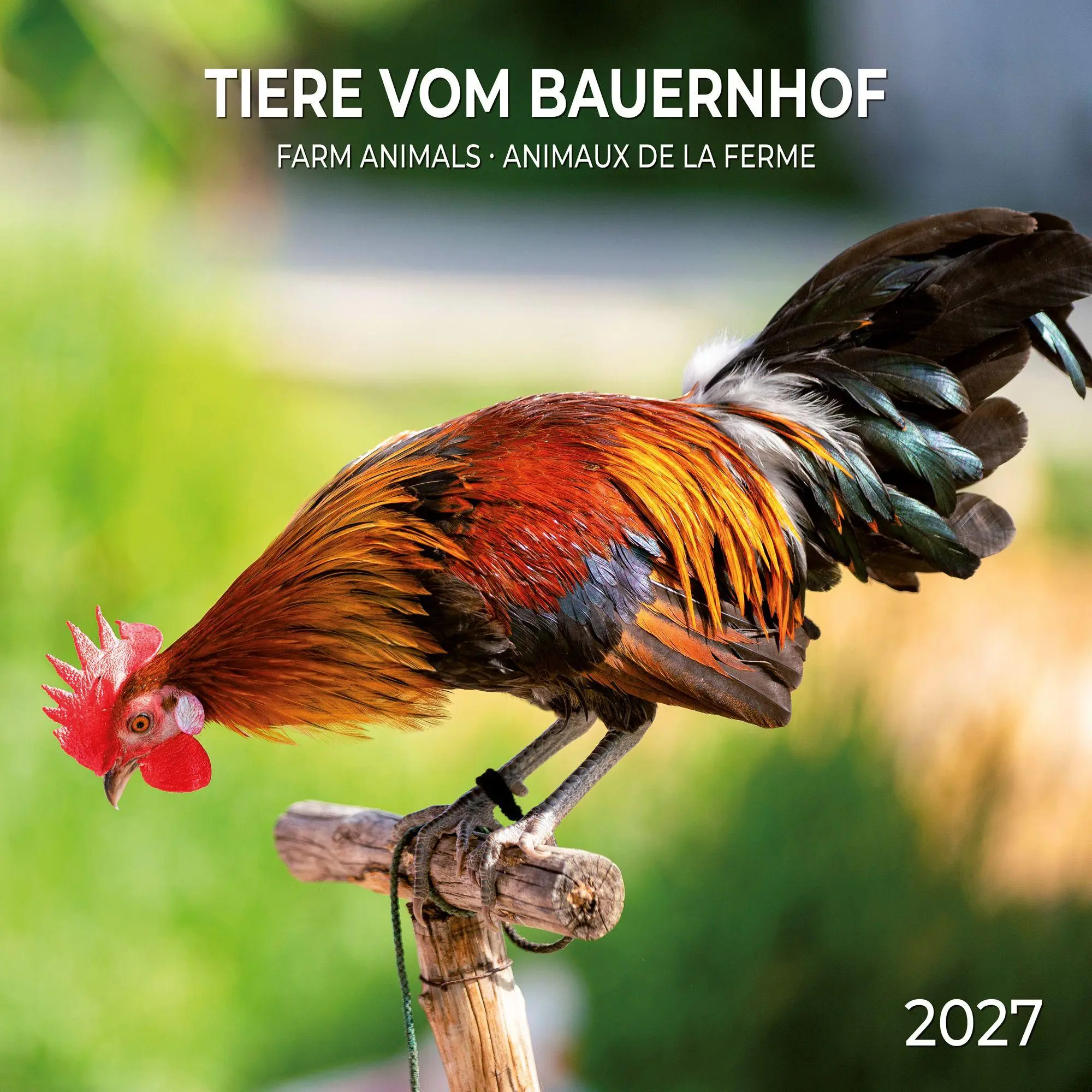 Cover: 9783959297424 | Tiere vom Bauernhof / Farm Animals 2027 | Kalender 2027 | Kalender