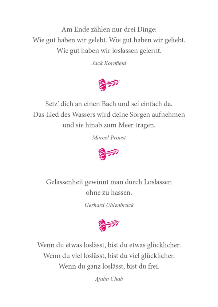 Bild: 9783948537524 | Lass los, vergiss und träume | Auerbach Verlag &amp; Infodienste GmbH