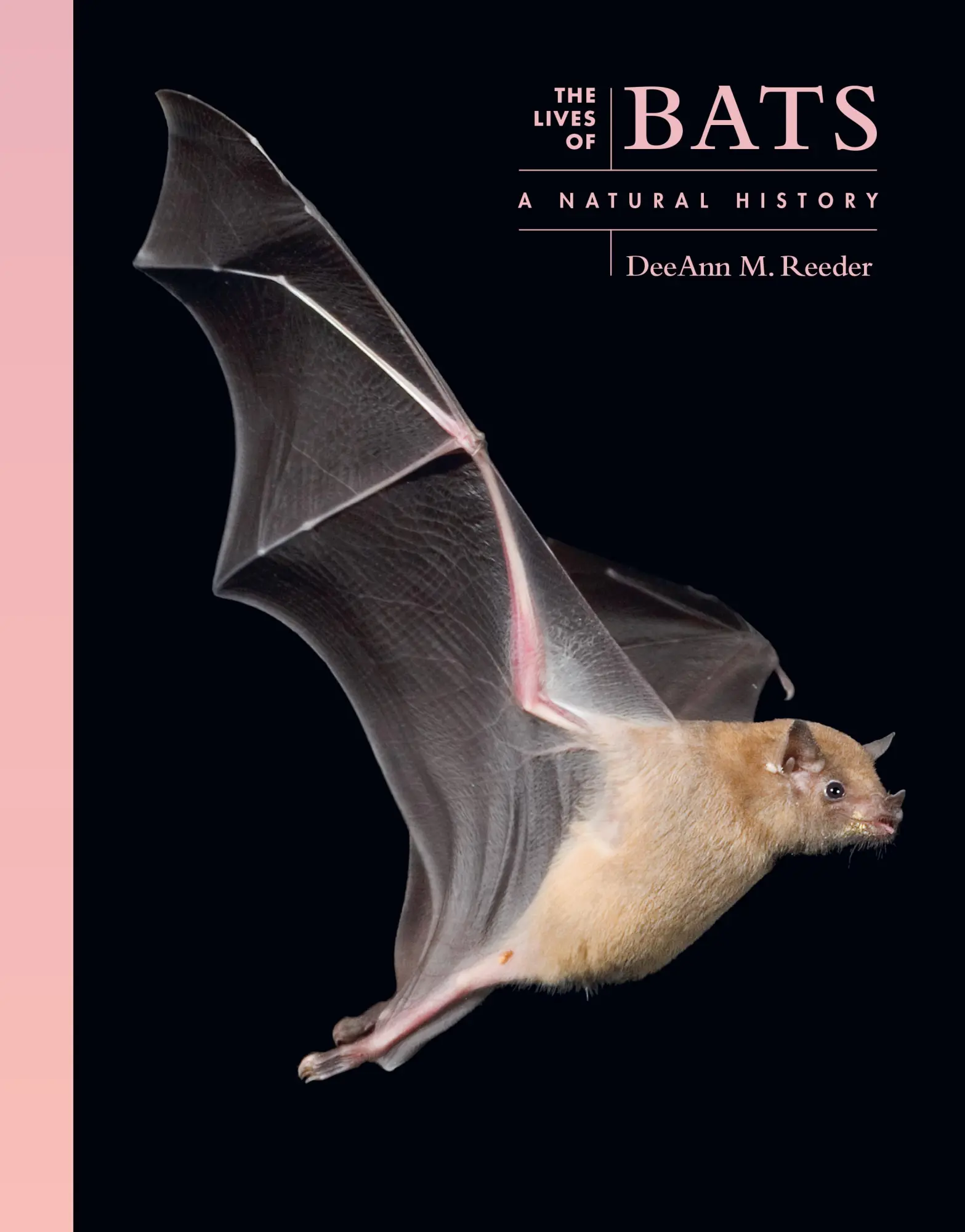 Cover: 9780691257624 | The Lives of Bats | A Natural History | Deeann M. Reeder | Buch | 2025