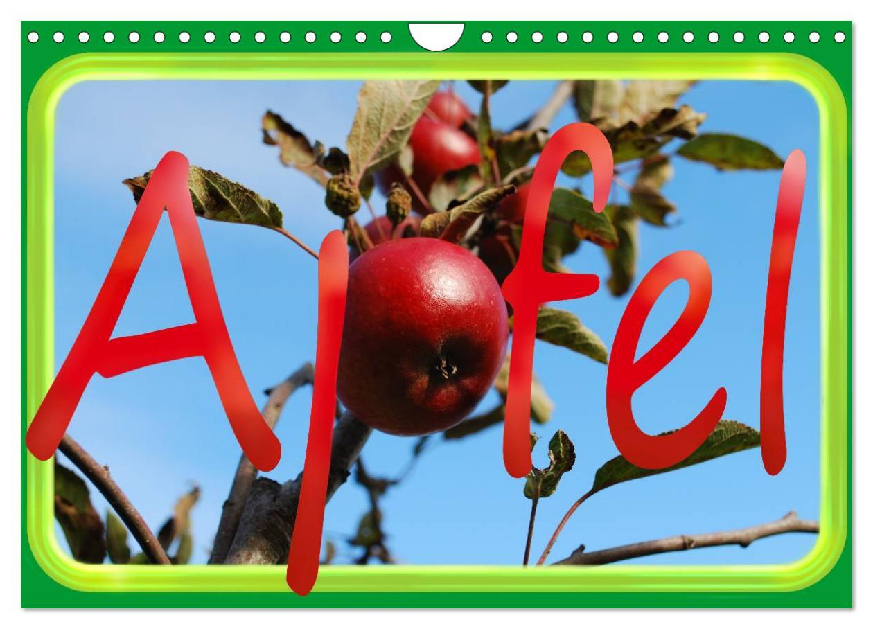 Cover: 9783435837724 | Apfel (Wandkalender 2025 DIN A4 quer), CALVENDO Monatskalender | 2025
