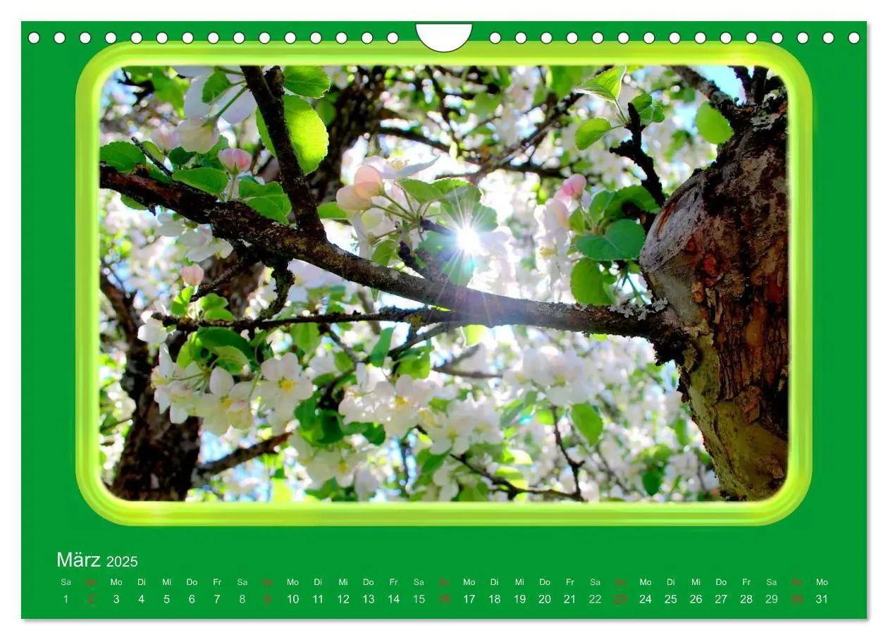 Bild: 9783435837724 | Apfel (Wandkalender 2025 DIN A4 quer), CALVENDO Monatskalender | 2025