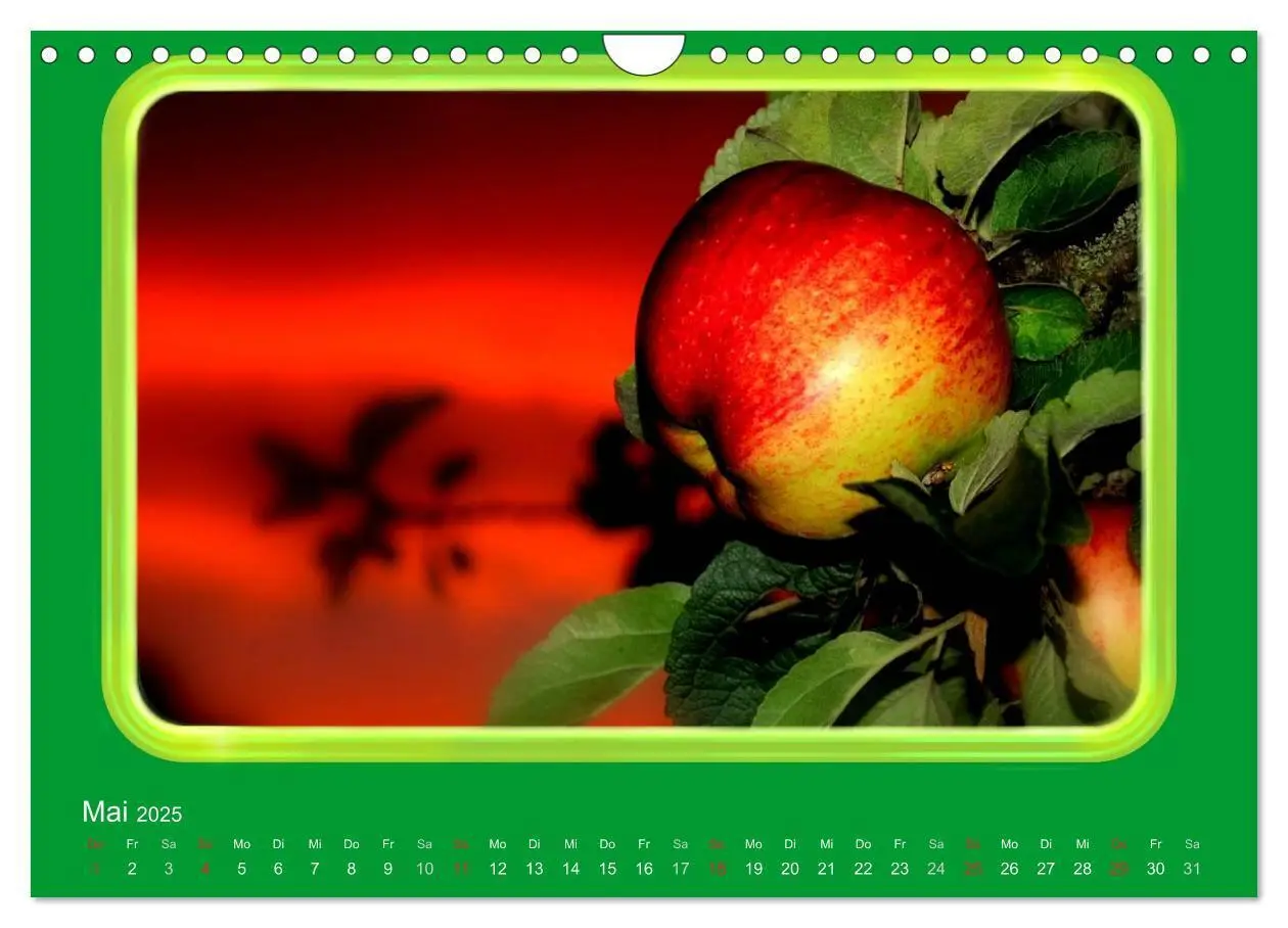 Bild: 9783435837724 | Apfel (Wandkalender 2025 DIN A4 quer), CALVENDO Monatskalender | 2025