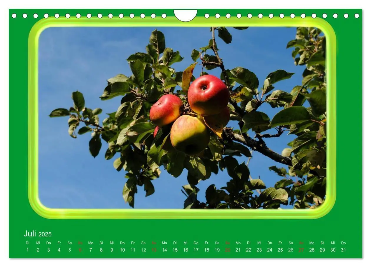 Bild: 9783435837724 | Apfel (Wandkalender 2025 DIN A4 quer), CALVENDO Monatskalender | 2025