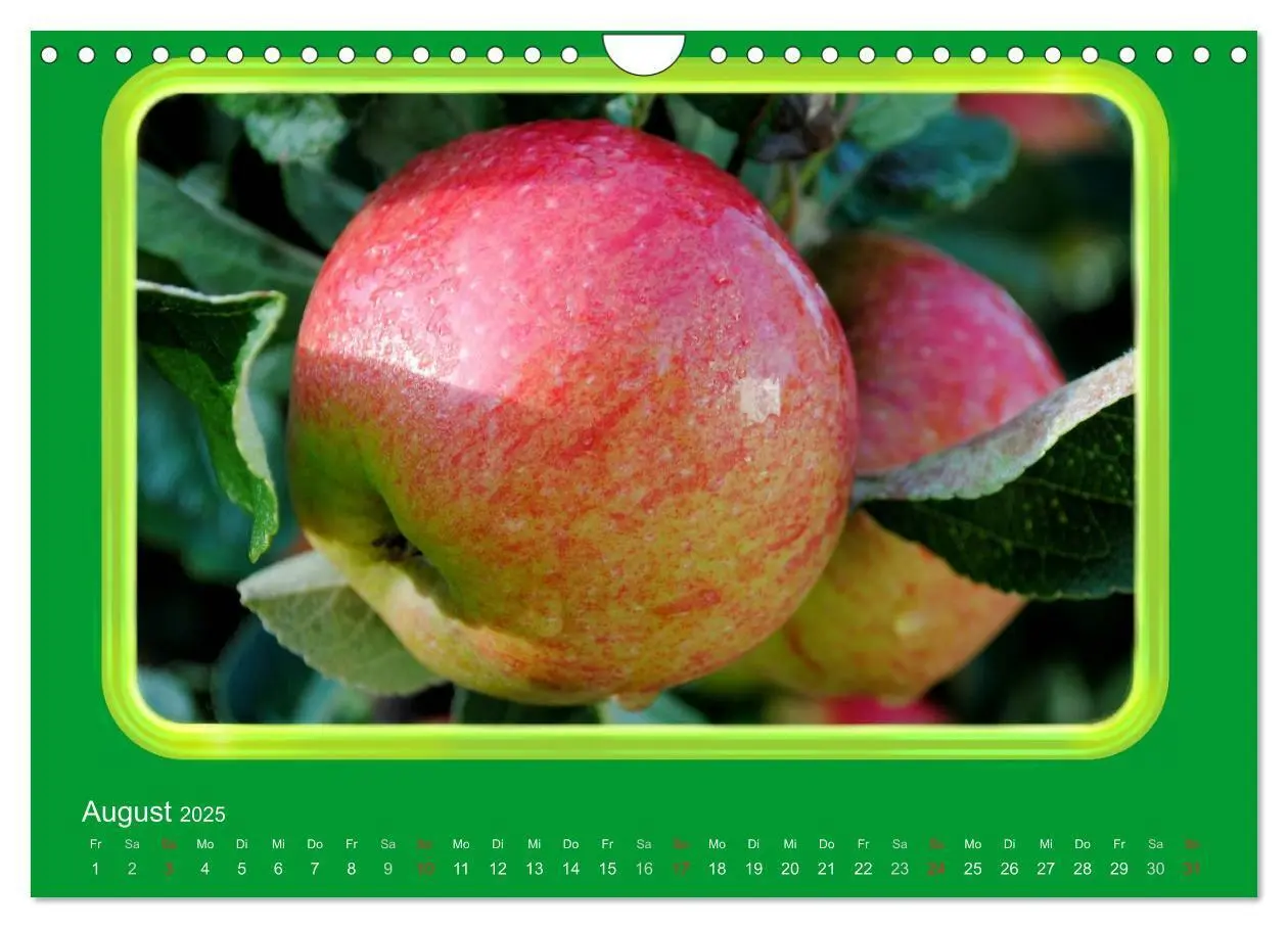 Bild: 9783435837724 | Apfel (Wandkalender 2025 DIN A4 quer), CALVENDO Monatskalender | 2025