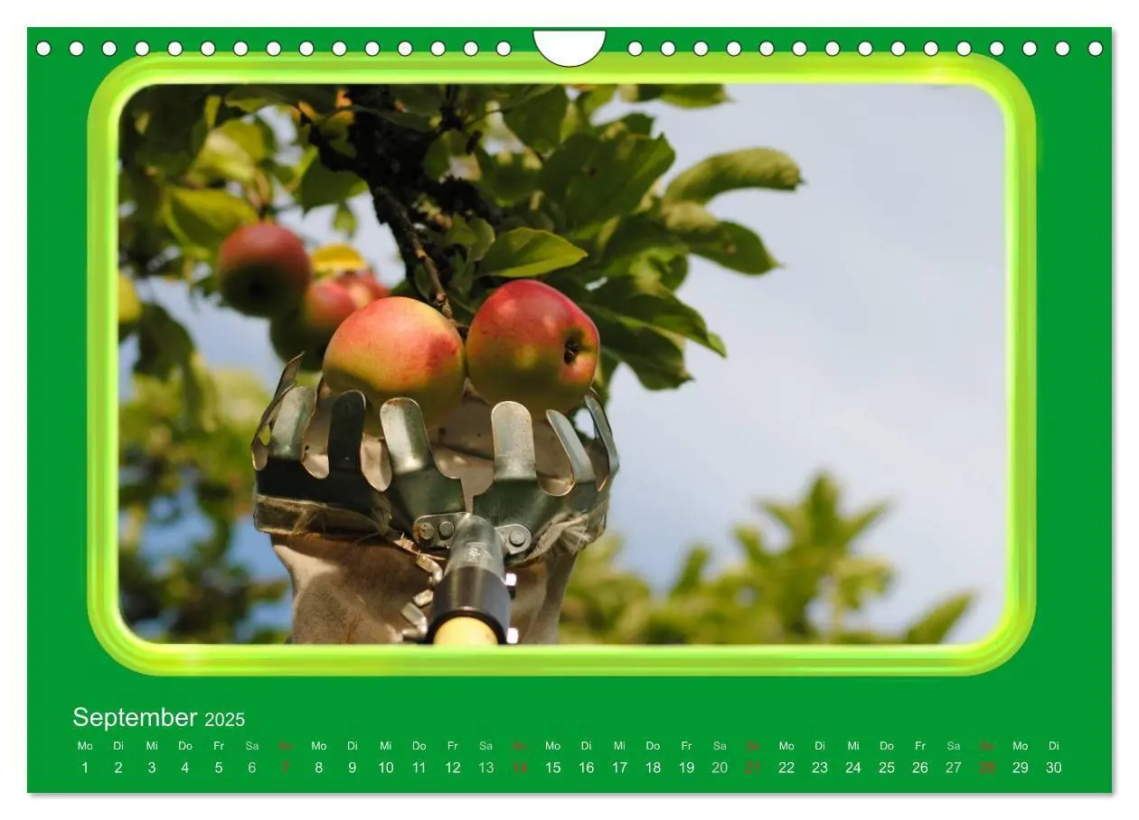 Bild: 9783435837724 | Apfel (Wandkalender 2025 DIN A4 quer), CALVENDO Monatskalender | 2025