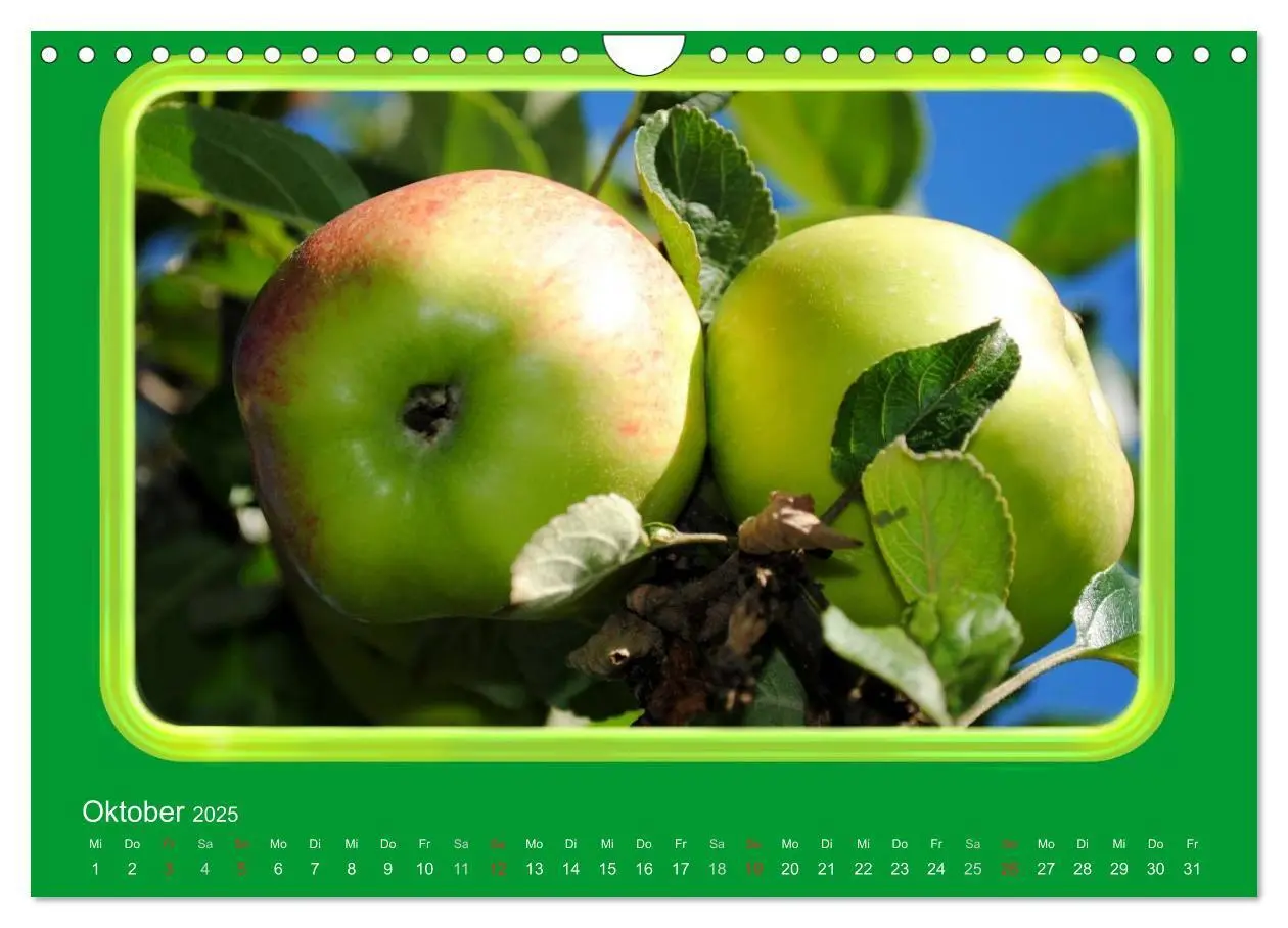 Bild: 9783435837724 | Apfel (Wandkalender 2025 DIN A4 quer), CALVENDO Monatskalender | 2025