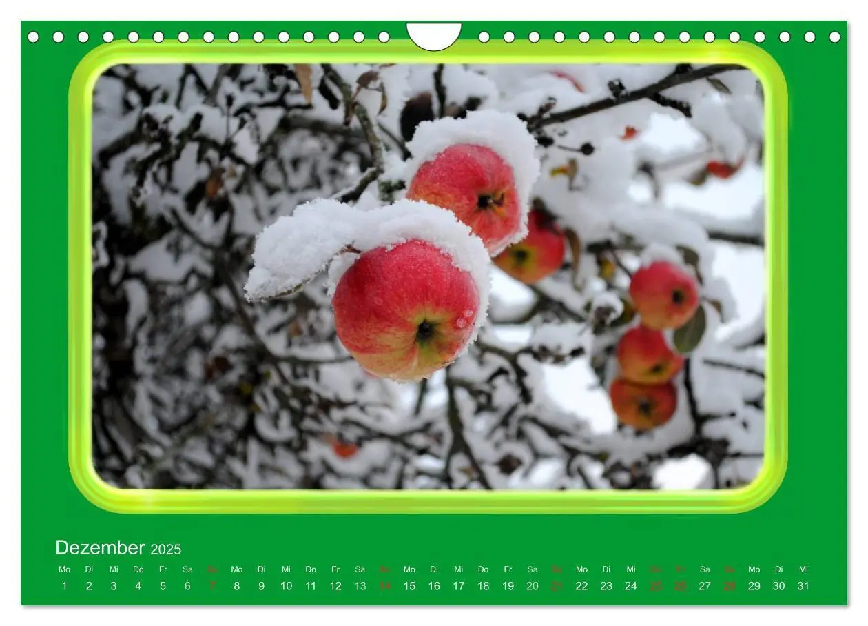 Bild: 9783435837724 | Apfel (Wandkalender 2025 DIN A4 quer), CALVENDO Monatskalender | 2025