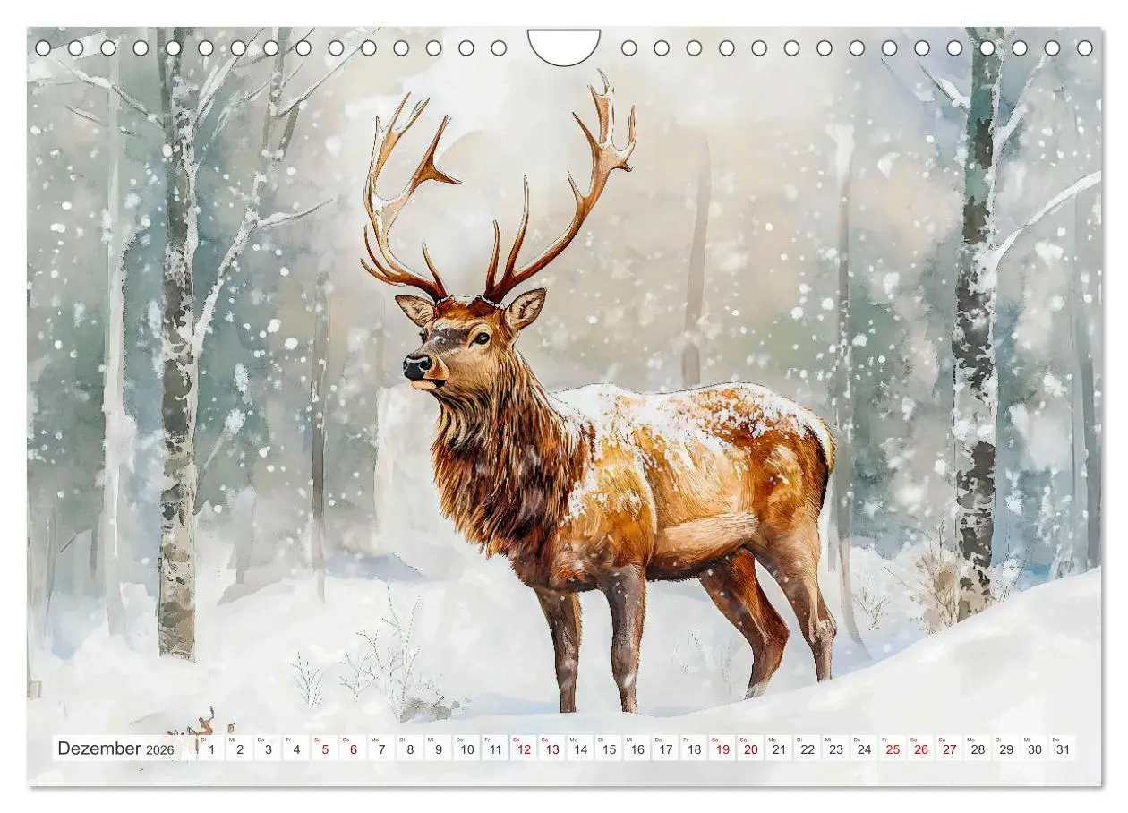 Bild: 9783457307724 | Wildtiere Europas - Farbwelt der heimischen Fauna (Wandkalender...