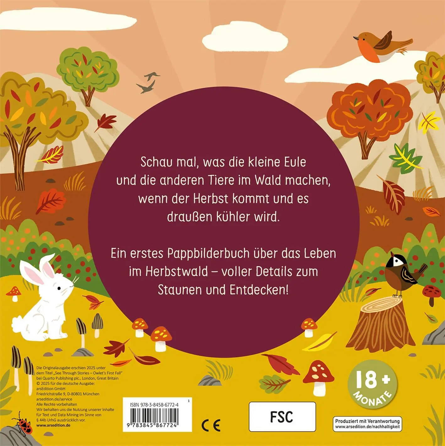 Rückseite: 9783845867724 | Was macht die Eule im Herbst? | Johnny Barr | Buch | 10 S. | Deutsch
