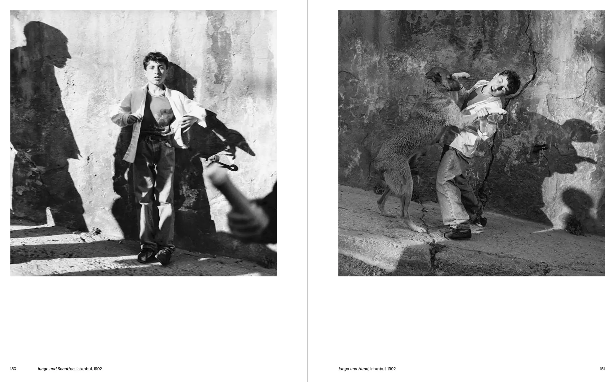 Bild: 9783954767724 | Fotografie. Das Werk | Christa Mayer | Christa Mayer | Buch | 288 S.