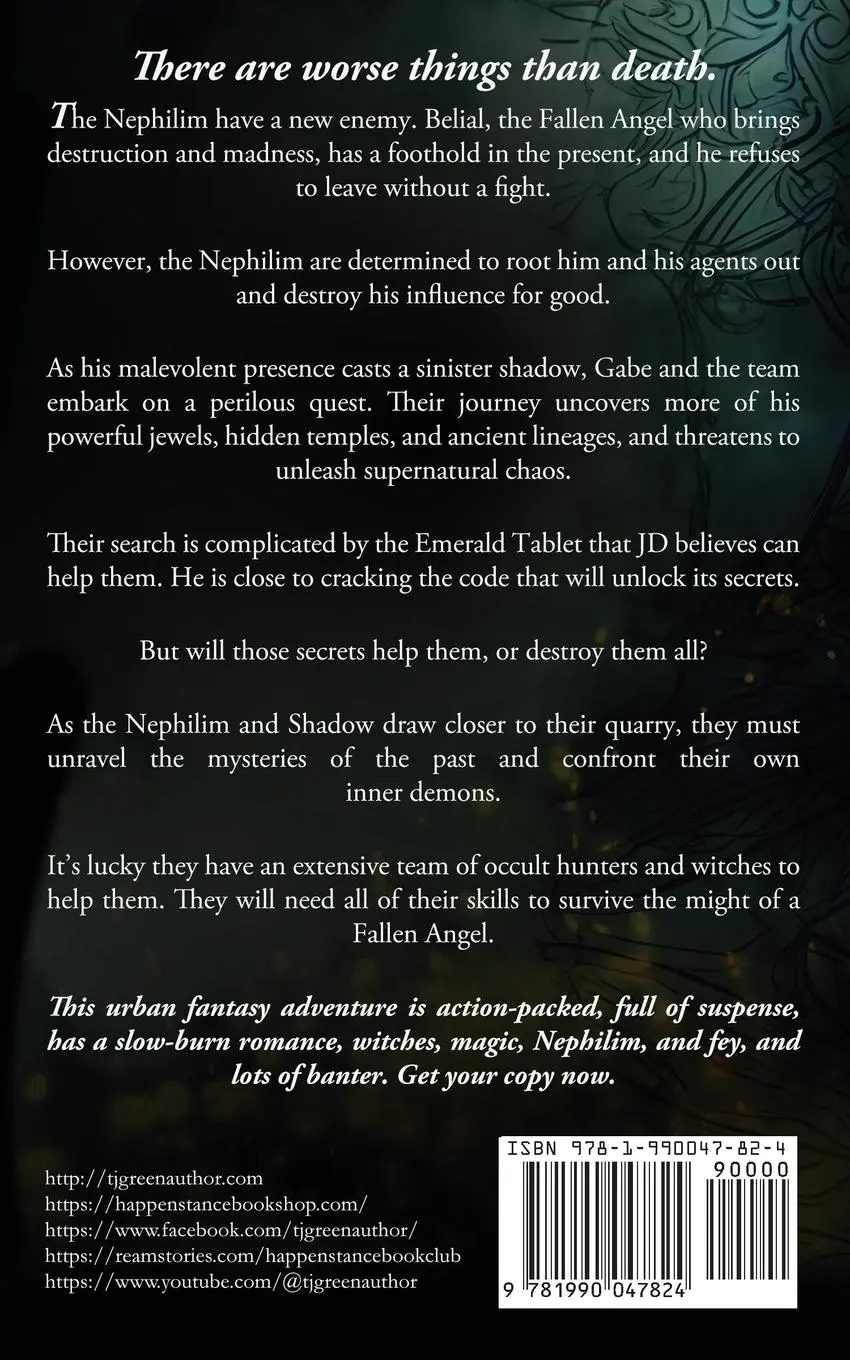 Rückseite: 9781990047824 | Brotherhood of the Fallen | Paranormal Mysteries | Tj Green | Buch