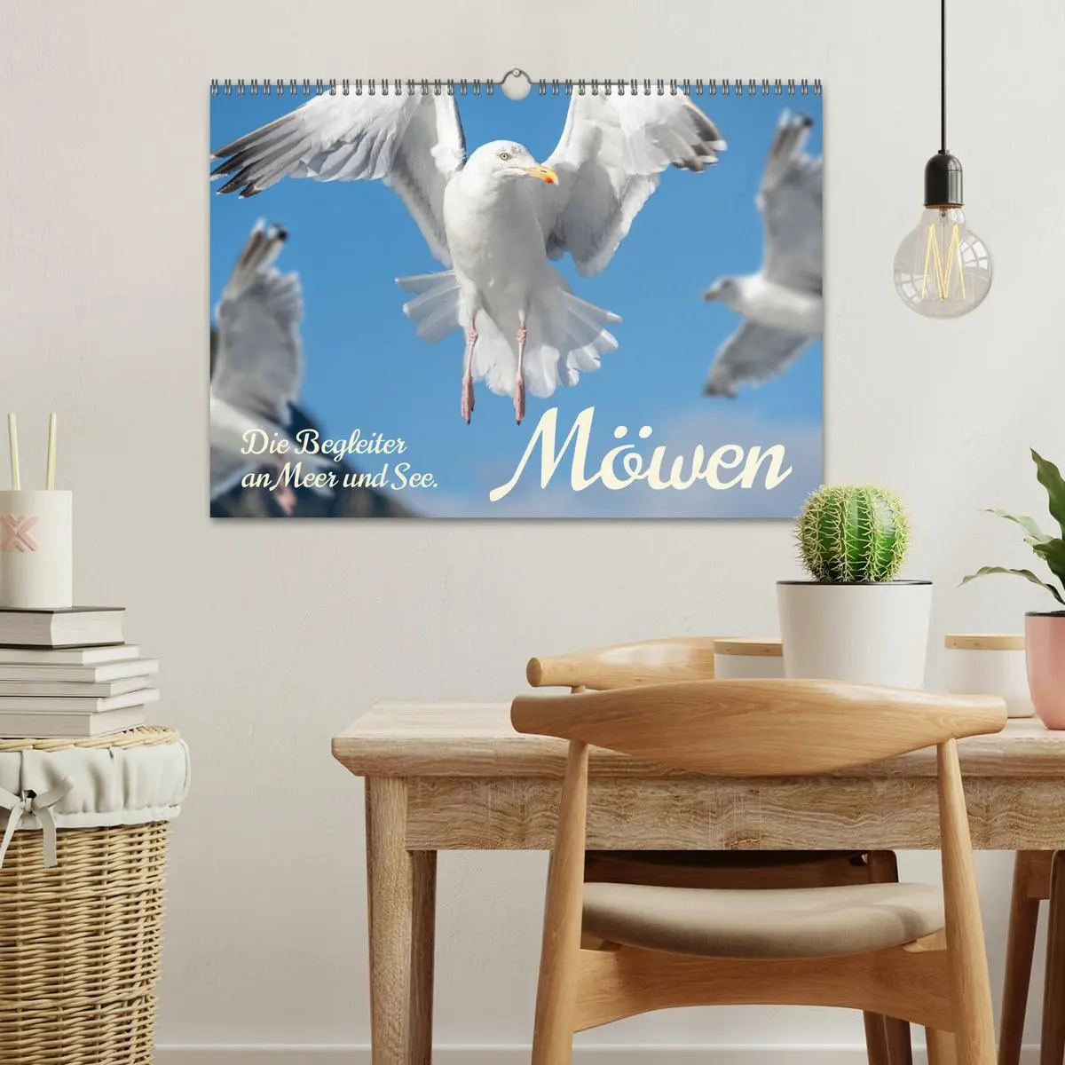 Bild: 9783457397824 | Möwen die Begleiter an Meer und See (Wandkalender 2026 DIN A3...