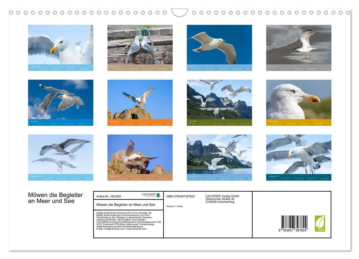 Bild: 9783457397824 | Möwen die Begleiter an Meer und See (Wandkalender 2026 DIN A3...