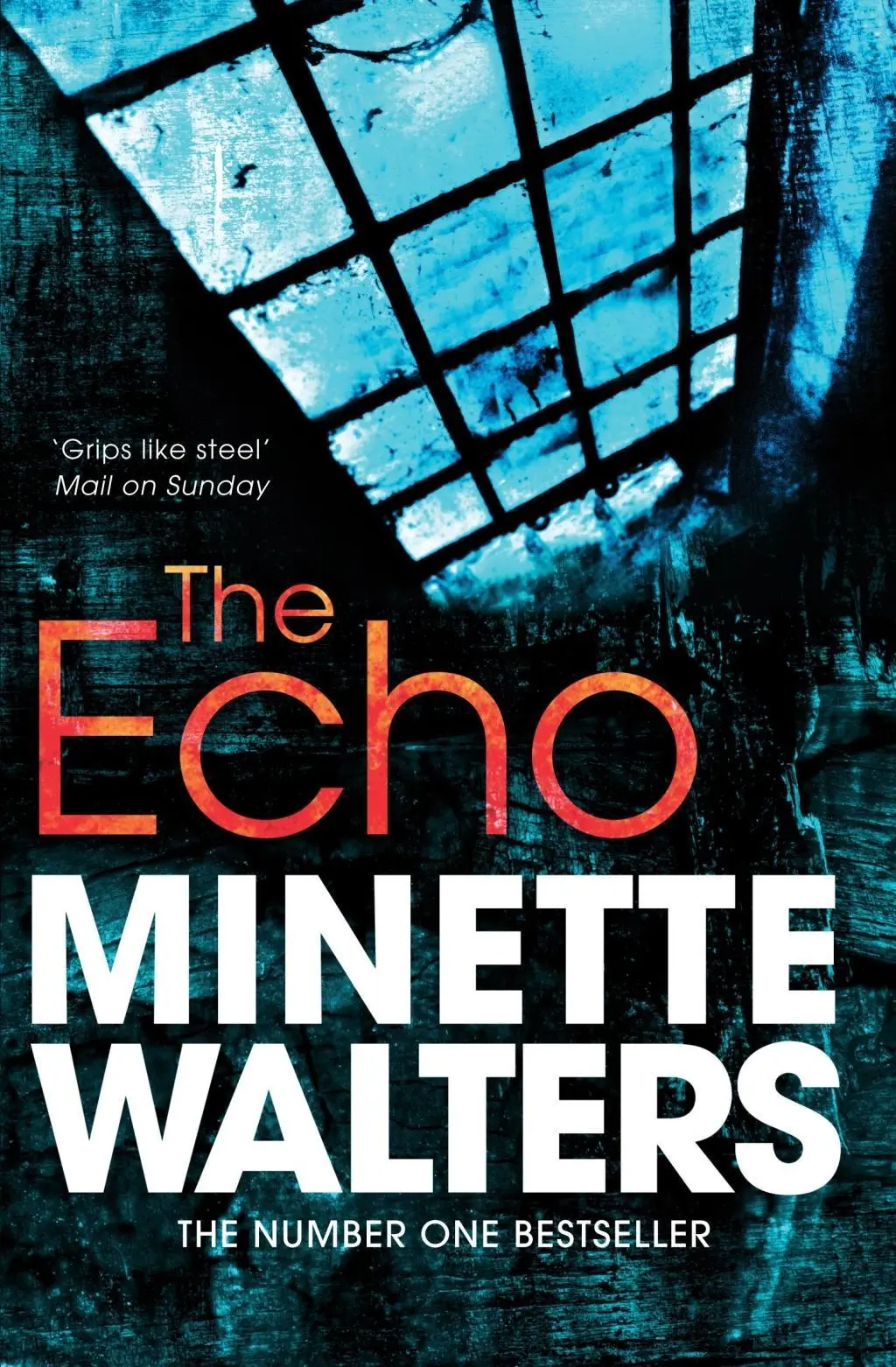 Cover: 9781447207924 | The Echo | Minette Walters | Taschenbuch | Kartoniert / Broschiert