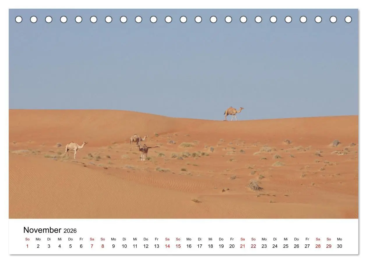 Bild: 9783457457924 | KAMELE... eine Reise durch den Oman. (Tischkalender 2026 DIN A5...