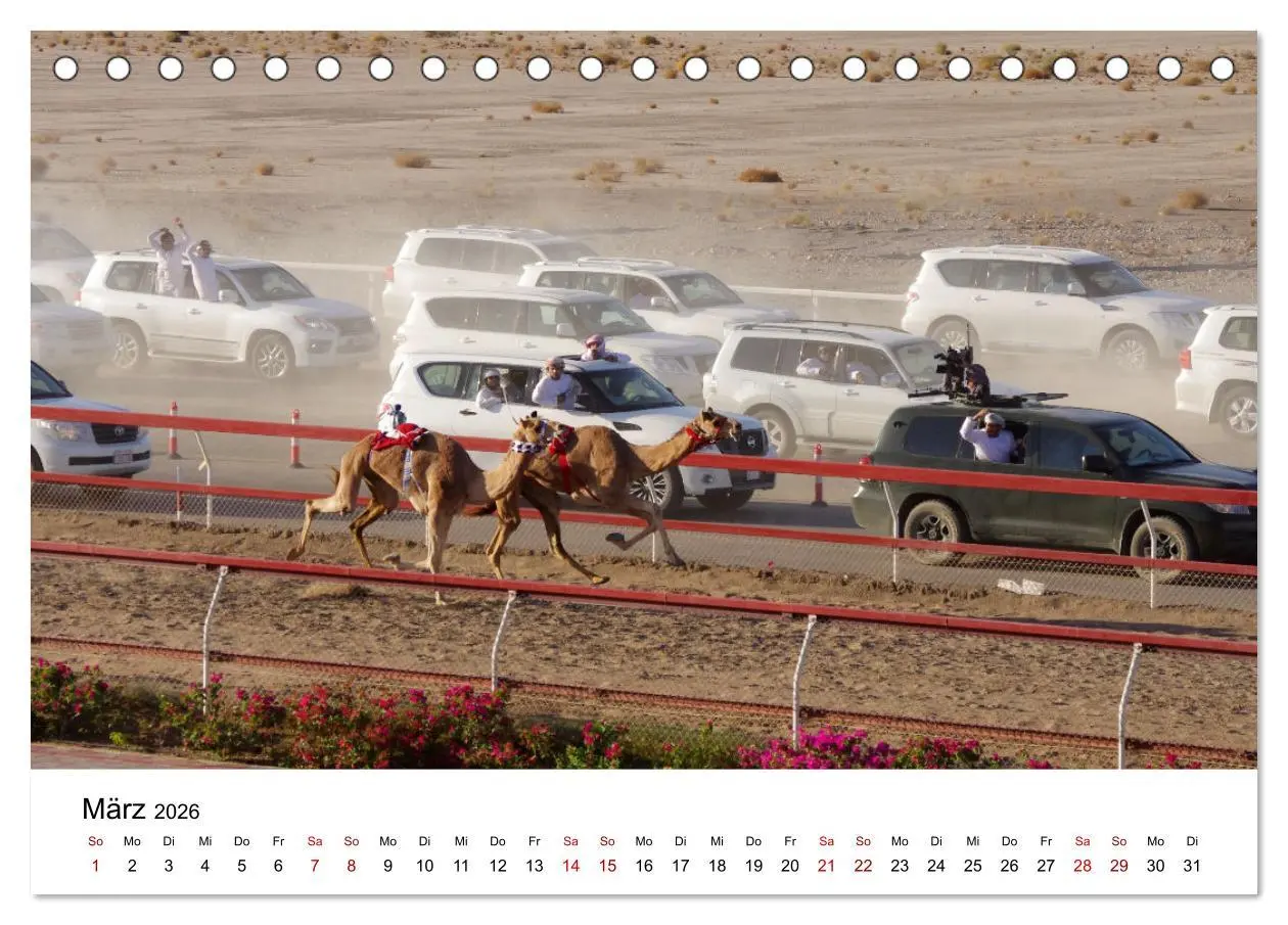 Bild: 9783457457924 | KAMELE... eine Reise durch den Oman. (Tischkalender 2026 DIN A5...