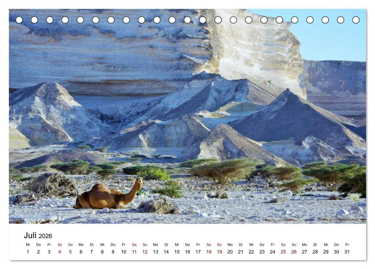 Bild: 9783457457924 | KAMELE... eine Reise durch den Oman. (Tischkalender 2026 DIN A5...