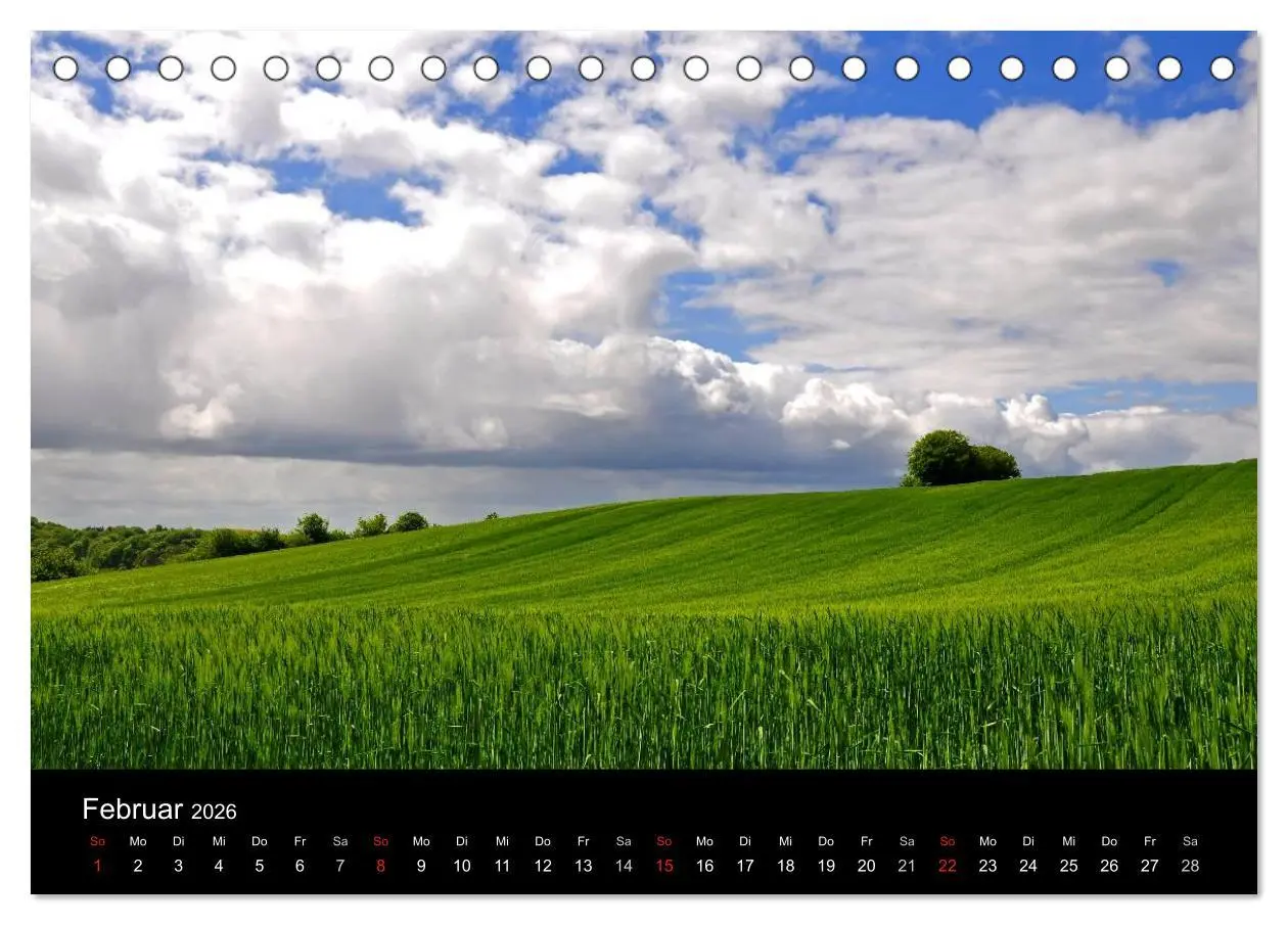 Bild: 9783516167924 | Plön - die Stadt am See (Tischkalender 2026 DIN A5 quer), CALVENDO...