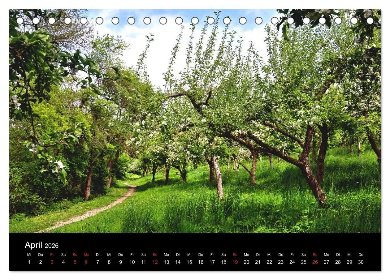 Bild: 9783516167924 | Plön - die Stadt am See (Tischkalender 2026 DIN A5 quer), CALVENDO...