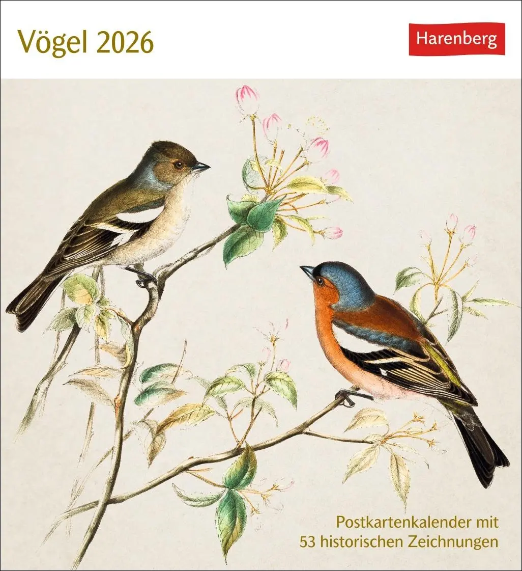 Cover: 9783840037924 | Vögel Postkartenkalender 2026 - Postkartenkalender mit 53...
