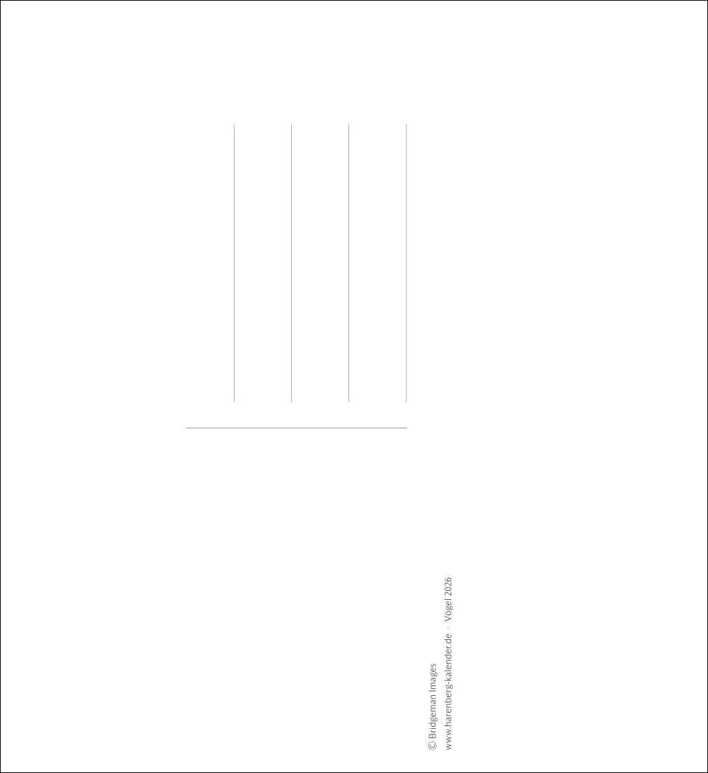 Bild: 9783840037924 | Vögel Postkartenkalender 2026 - Postkartenkalender mit 53...