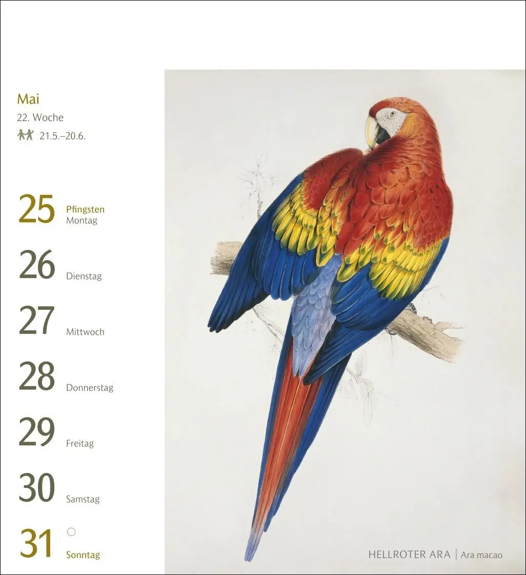 Bild: 9783840037924 | Vögel Postkartenkalender 2026 - Postkartenkalender mit 53...