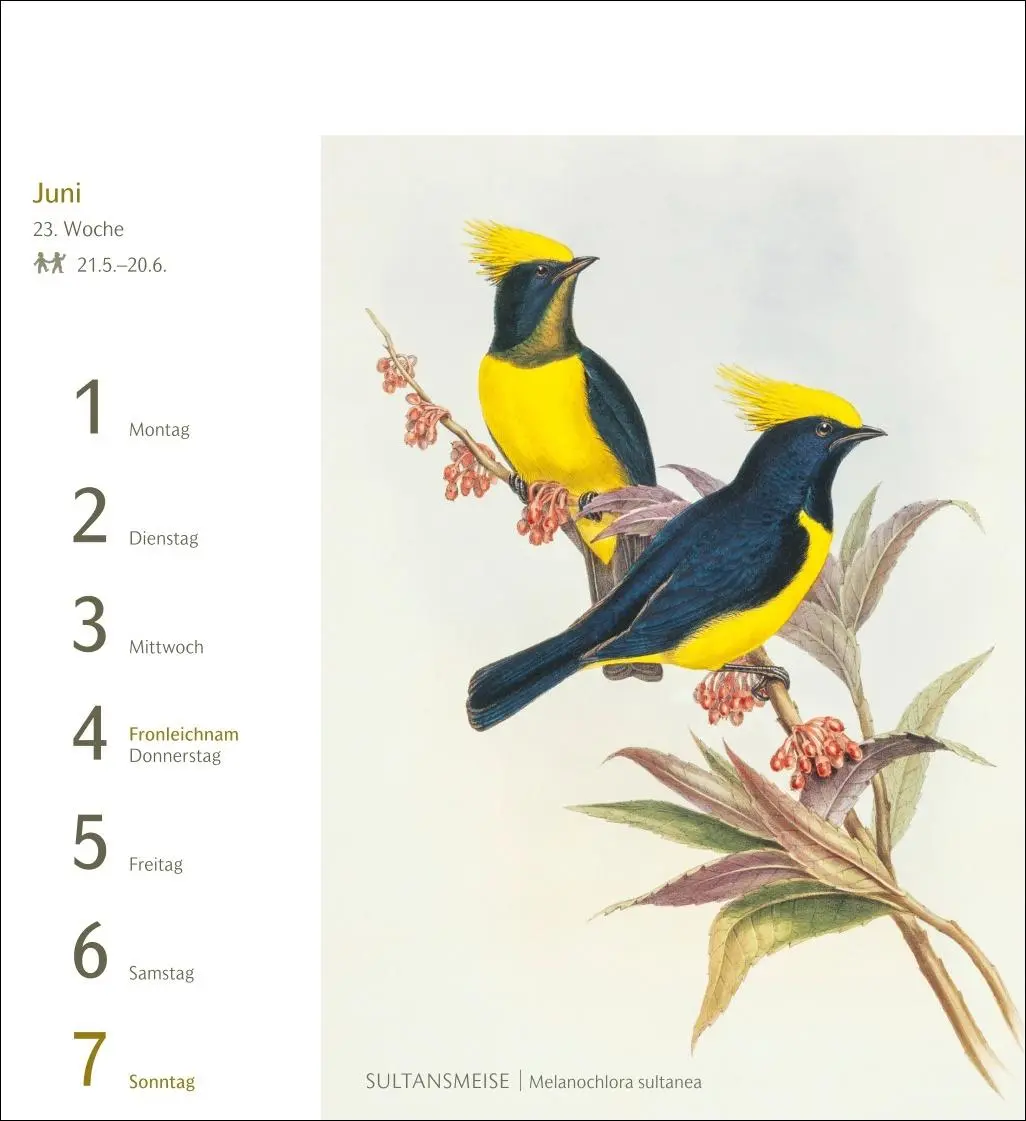 Bild: 9783840037924 | Vögel Postkartenkalender 2026 - Postkartenkalender mit 53...