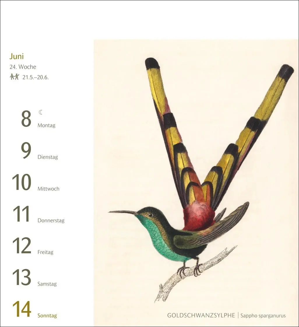 Bild: 9783840037924 | Vögel Postkartenkalender 2026 - Postkartenkalender mit 53...