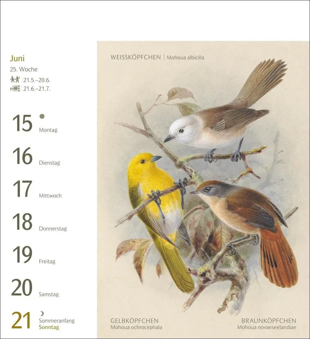 Bild: 9783840037924 | Vögel Postkartenkalender 2026 - Postkartenkalender mit 53...