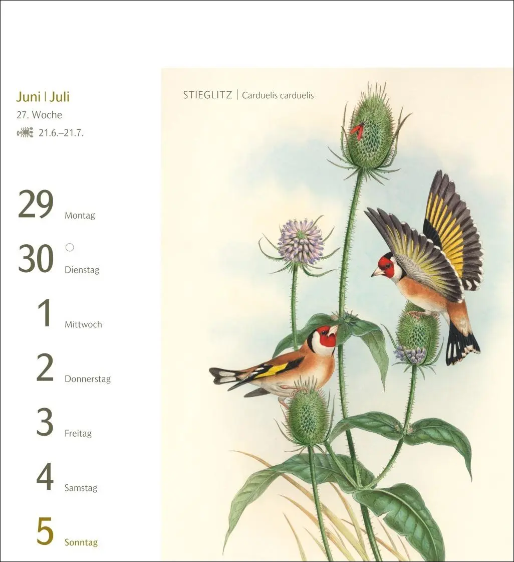 Bild: 9783840037924 | Vögel Postkartenkalender 2026 - Postkartenkalender mit 53...
