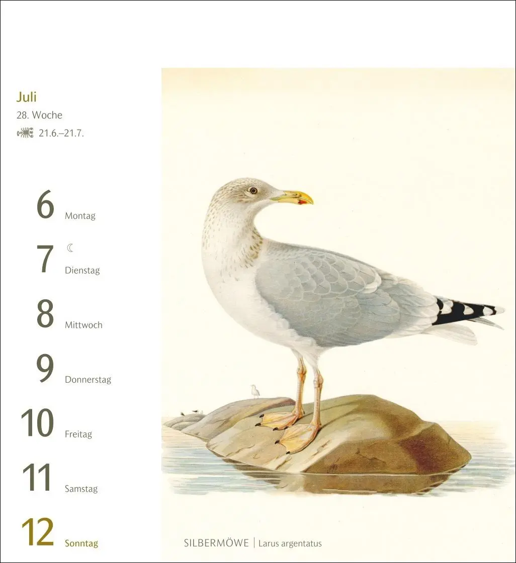 Bild: 9783840037924 | Vögel Postkartenkalender 2026 - Postkartenkalender mit 53...