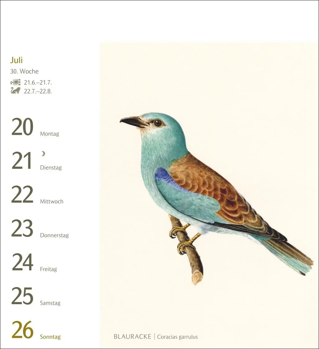 Bild: 9783840037924 | Vögel Postkartenkalender 2026 - Postkartenkalender mit 53...