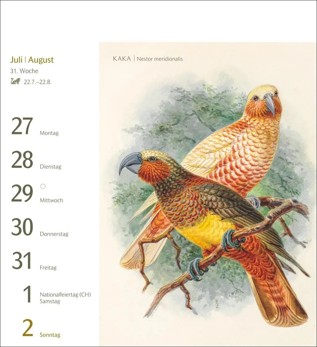 Bild: 9783840037924 | Vögel Postkartenkalender 2026 - Postkartenkalender mit 53...