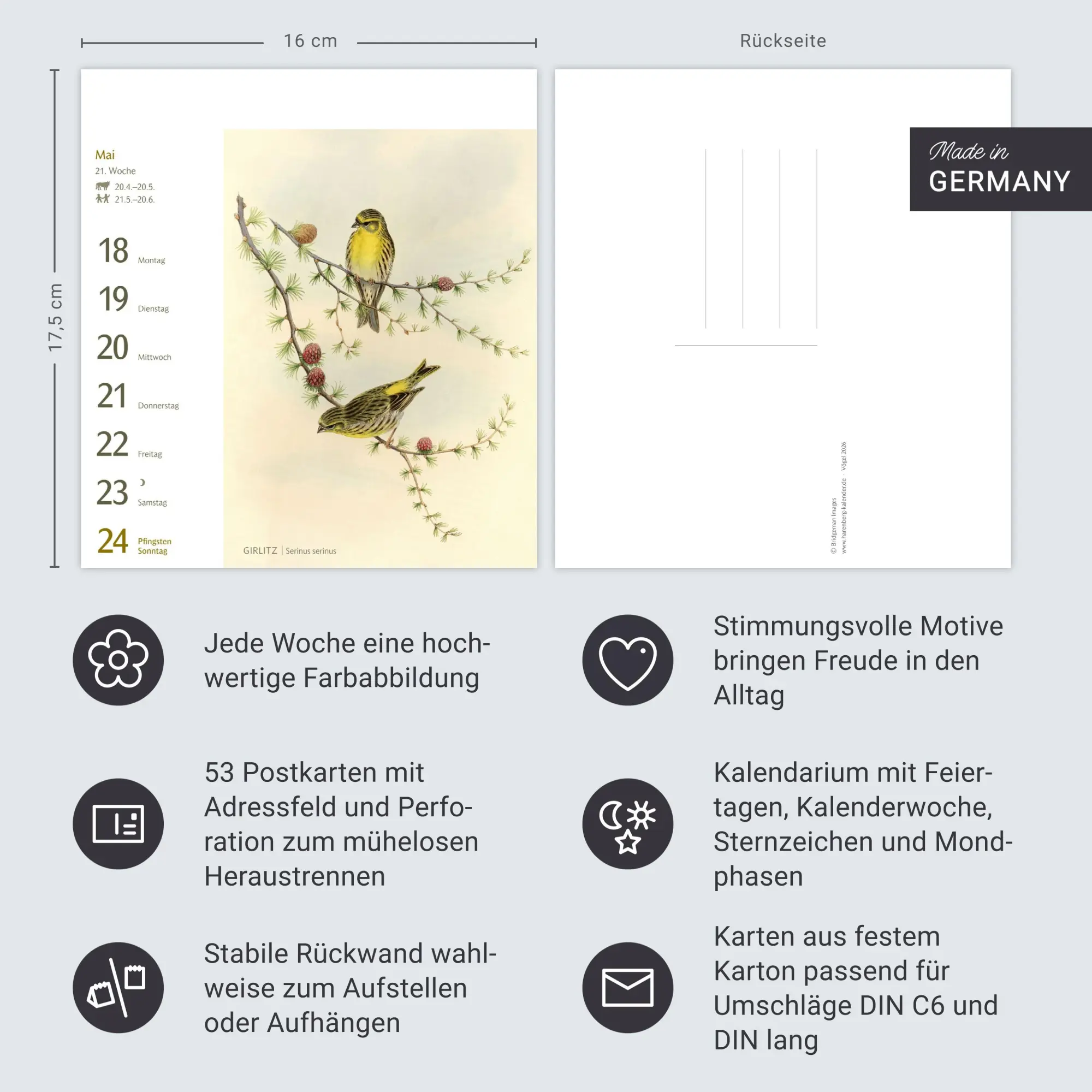 Bild: 9783840037924 | Vögel Postkartenkalender 2026 - Postkartenkalender mit 53...