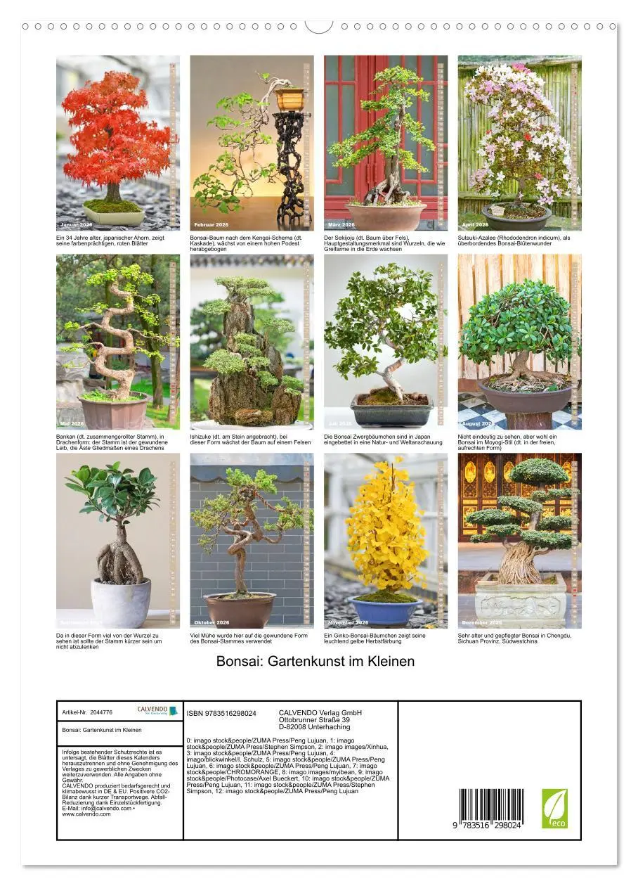 Bild: 9783516298024 | Bonsai: Gartenkunst im Kleinen (hochwertiger Premium Wandkalender...