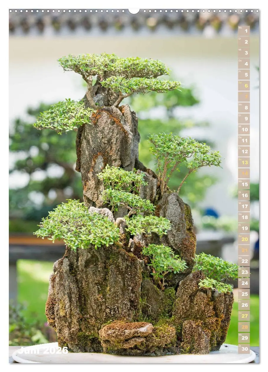 Bild: 9783516298024 | Bonsai: Gartenkunst im Kleinen (hochwertiger Premium Wandkalender...