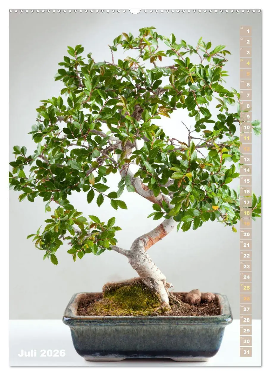Bild: 9783516298024 | Bonsai: Gartenkunst im Kleinen (hochwertiger Premium Wandkalender...