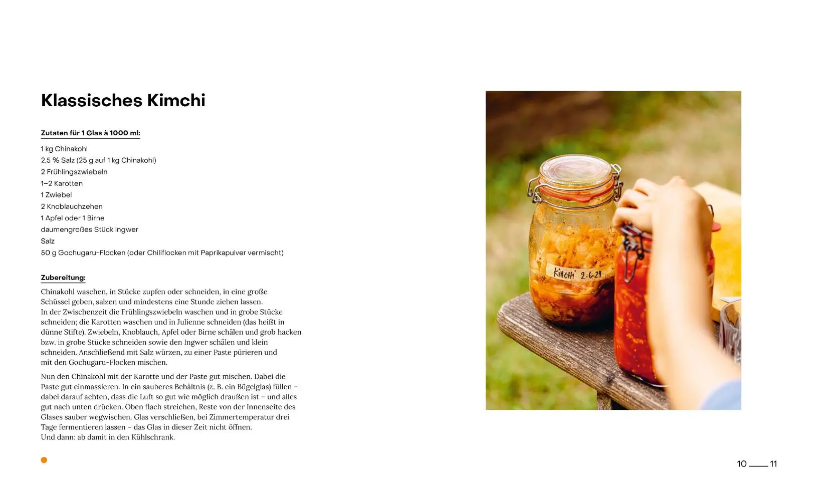 Bild: 9783706688024 | fantastisch fermentiert | Alma Corina Blum | Buch | 224 S. | Deutsch