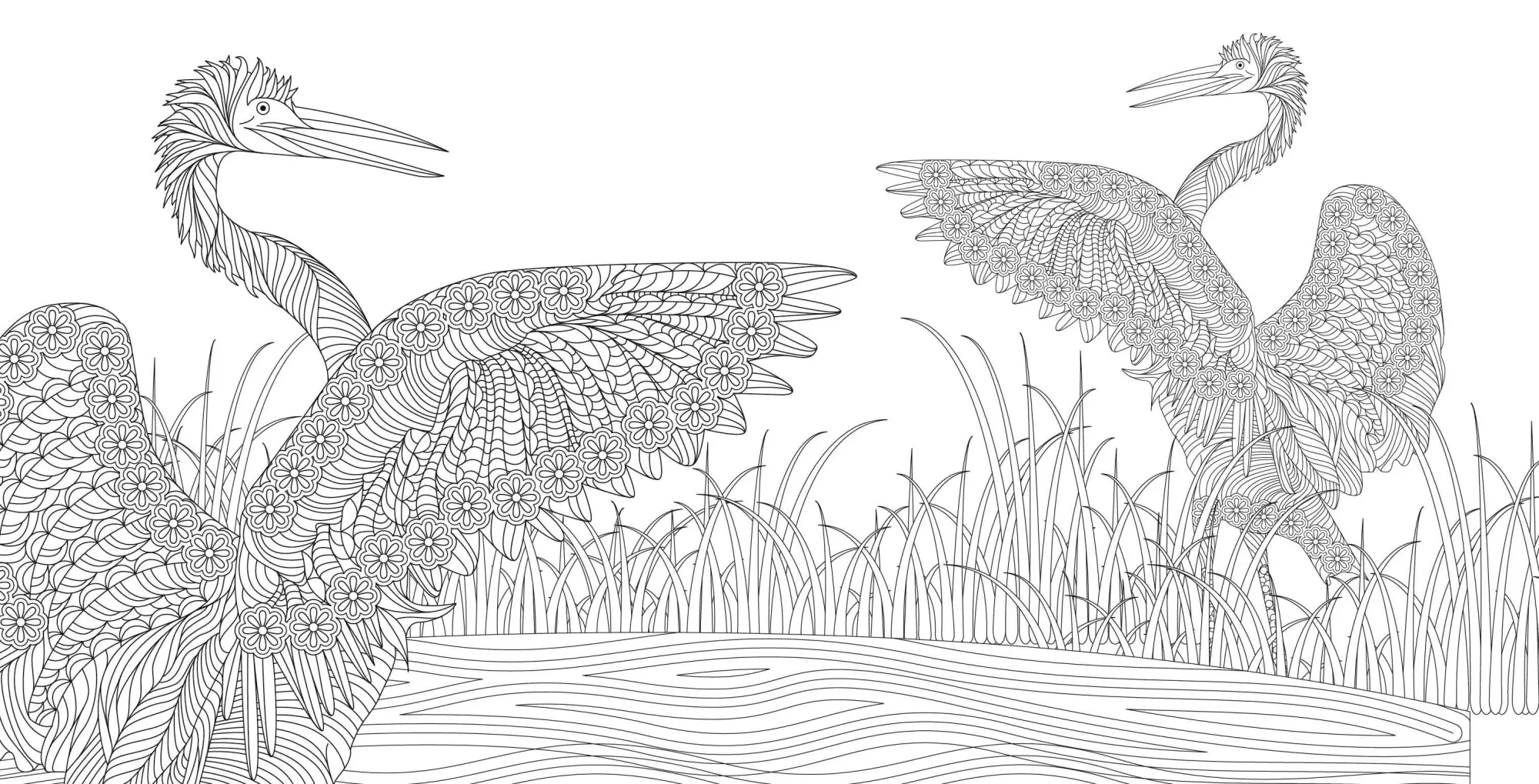 Bild: 9788863128024 | Zen Harmony | Ausmalbuch zur kreativen Stressbewältigung | Star White