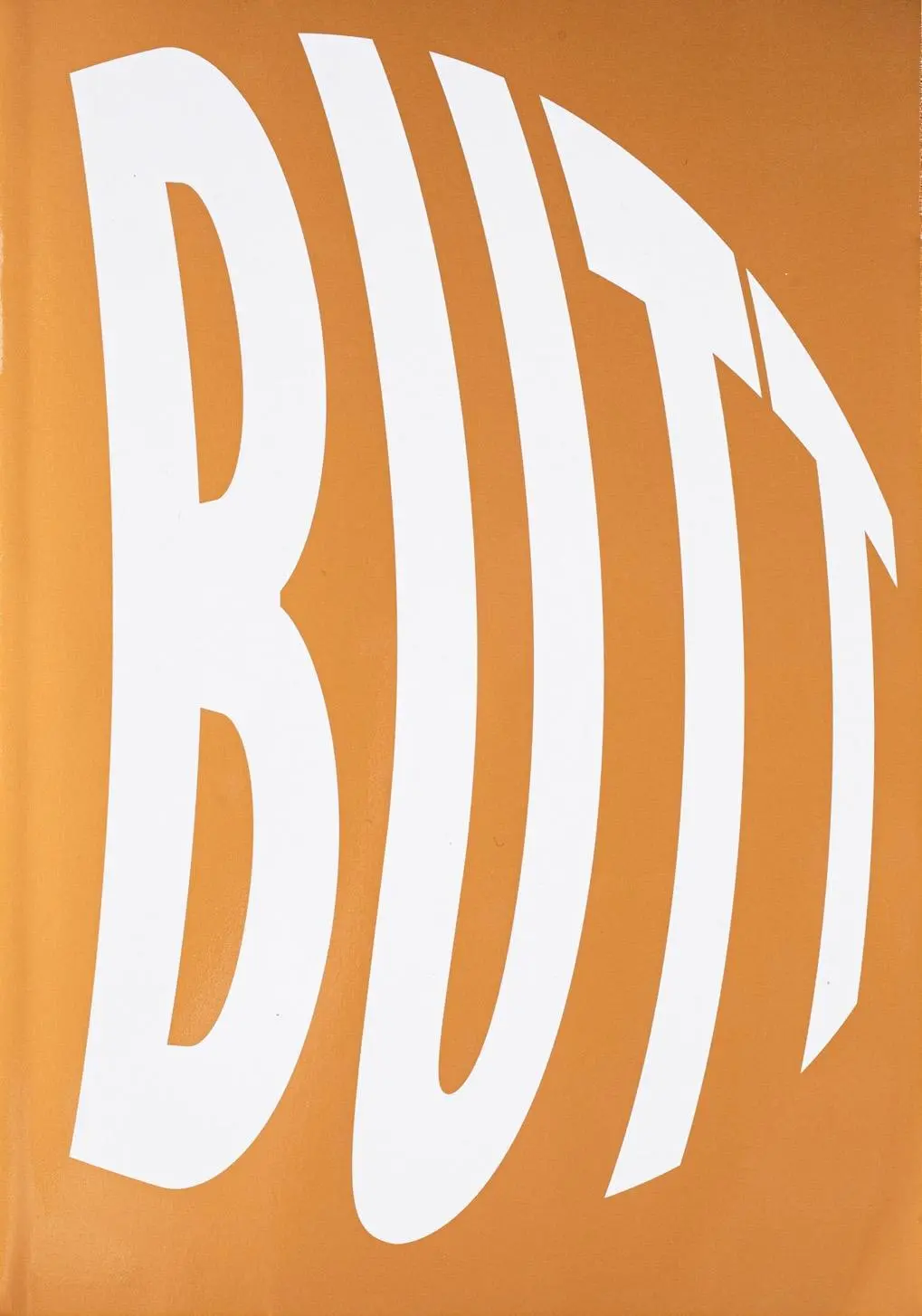 Cover: 9789493148024 | Post-Butt | The Power of the Image | Melani de Luca | Taschenbuch