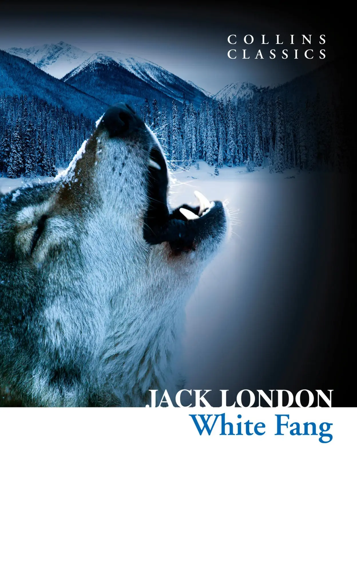 Cover: 9780007558124 | White Fang | Jack London | Taschenbuch | 258 S. | Englisch | 2025