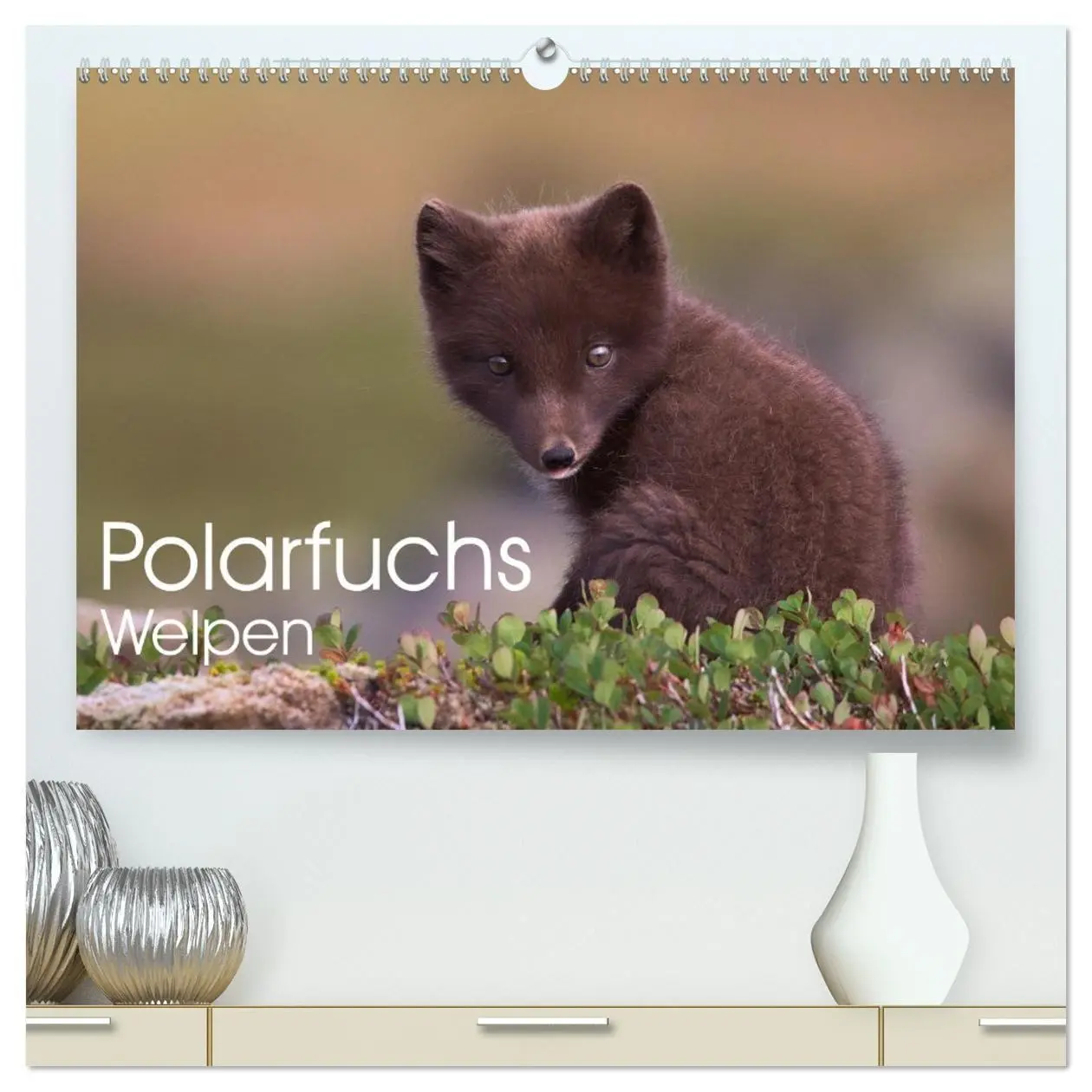 Cover: 9783516658224 | Polarfuchs-Welpen (hochwertiger Premium Wandkalender 2026 DIN A2...